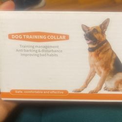Dog training Collar