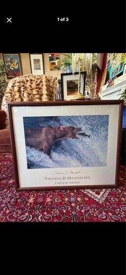 Thomas D Mangelsen 34 by 28 Wall Art catch of the day