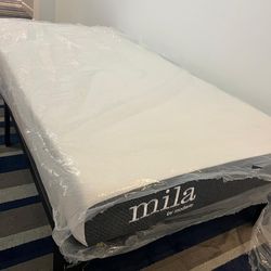 Mattress + Bed Frame twin mattress