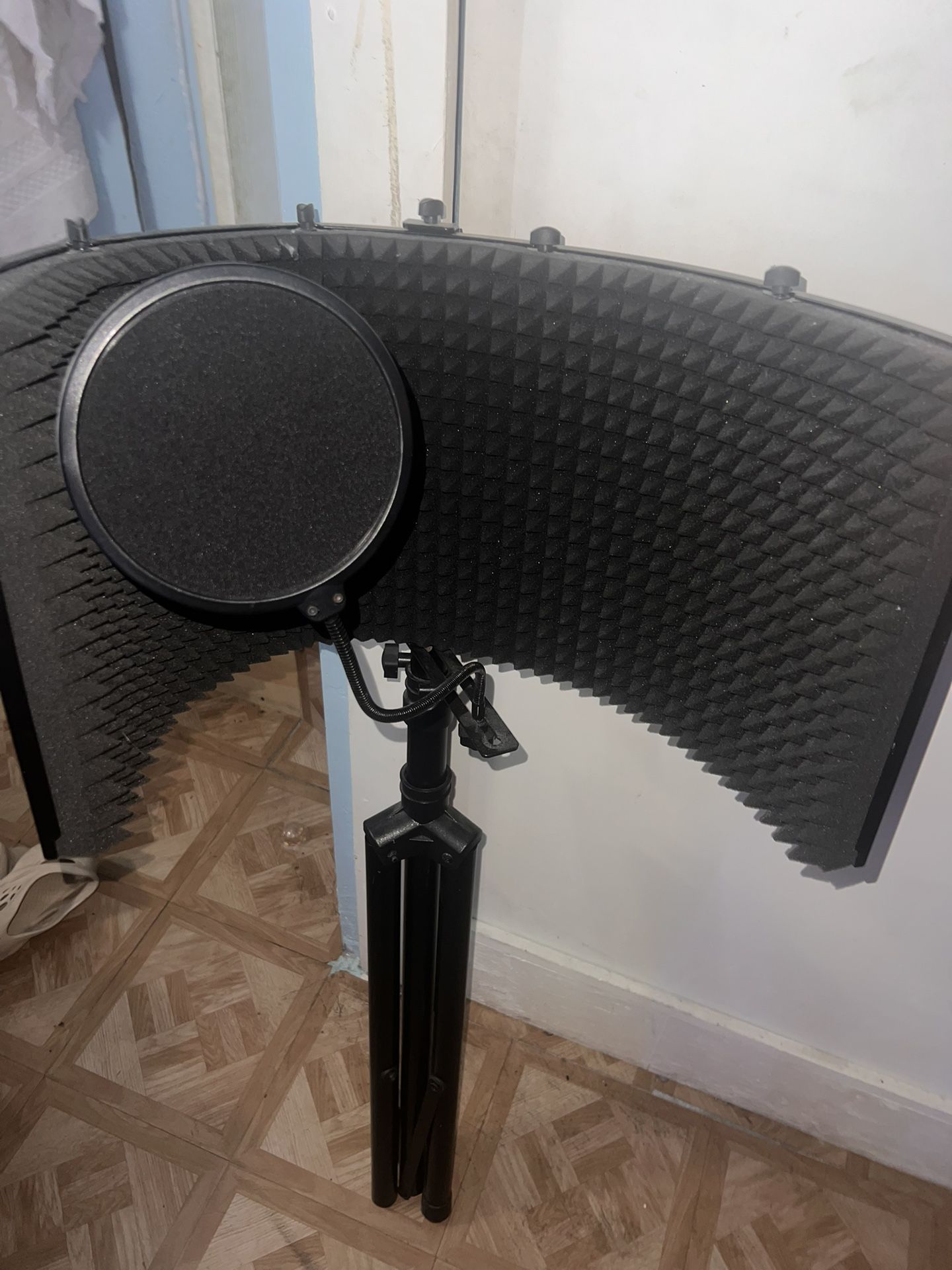 Mic Stand With Filter And Foam Wall 