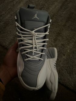Air Jordan retro 12