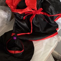 Witch Dog Costume Small