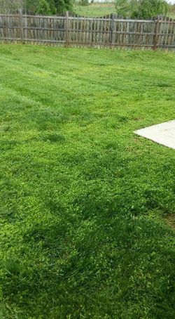 Lawn cut