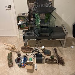 Terrarium and Complete Set Up (Tree Frog, Reptile, Snake, Etc.)