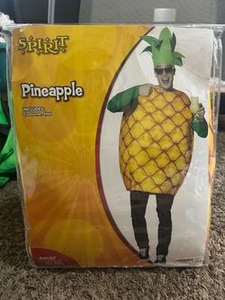 Pineapple Costume