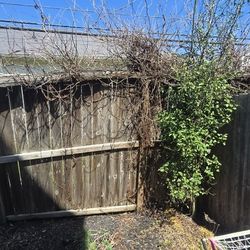 Fence