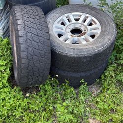 Rims 
