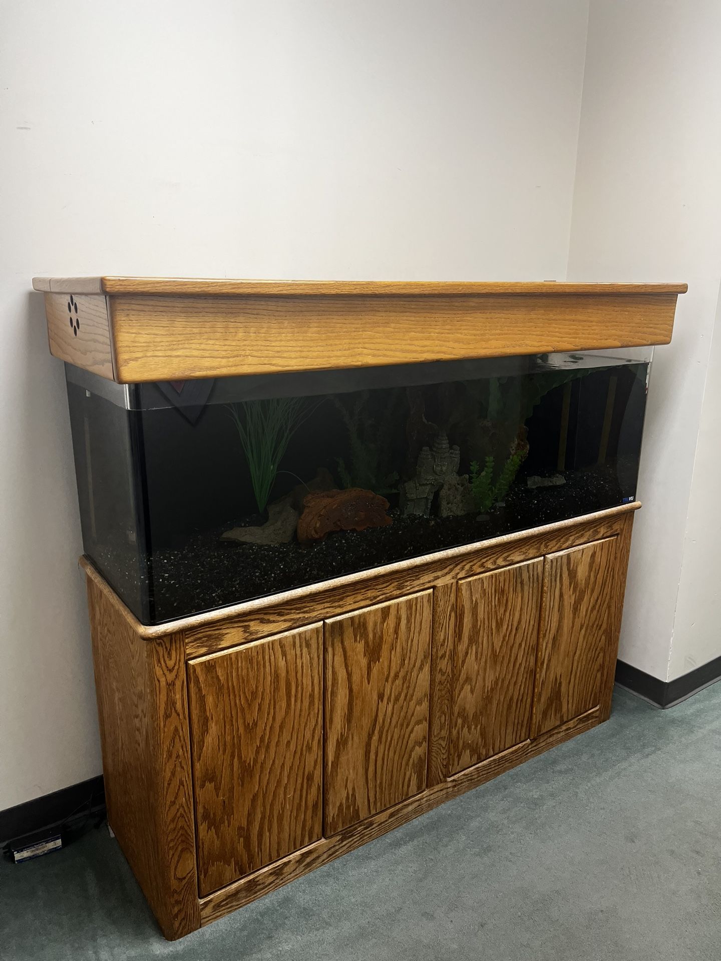 100 gal Aquarium