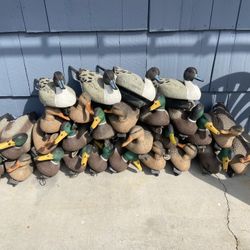 Duck Decoys G&H and Tanglefree