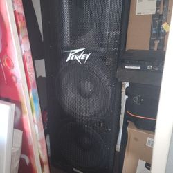 Peavey 215d
