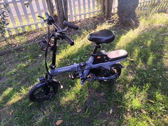 Insdrgn Folding Electric Bike