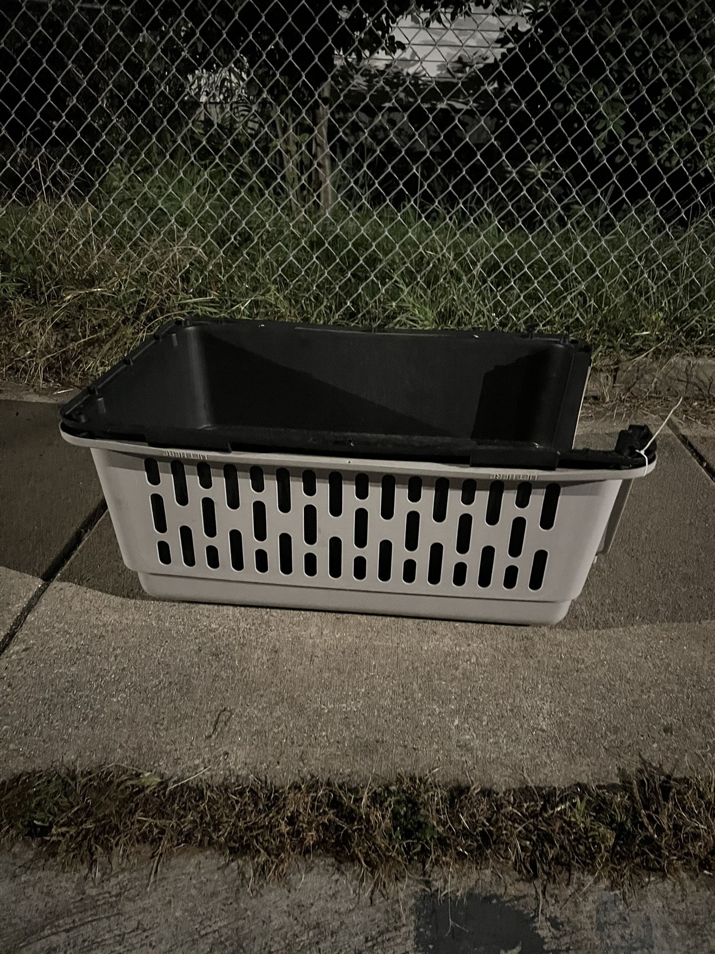 Vibrant Life, Large Plastic Dog Carrier