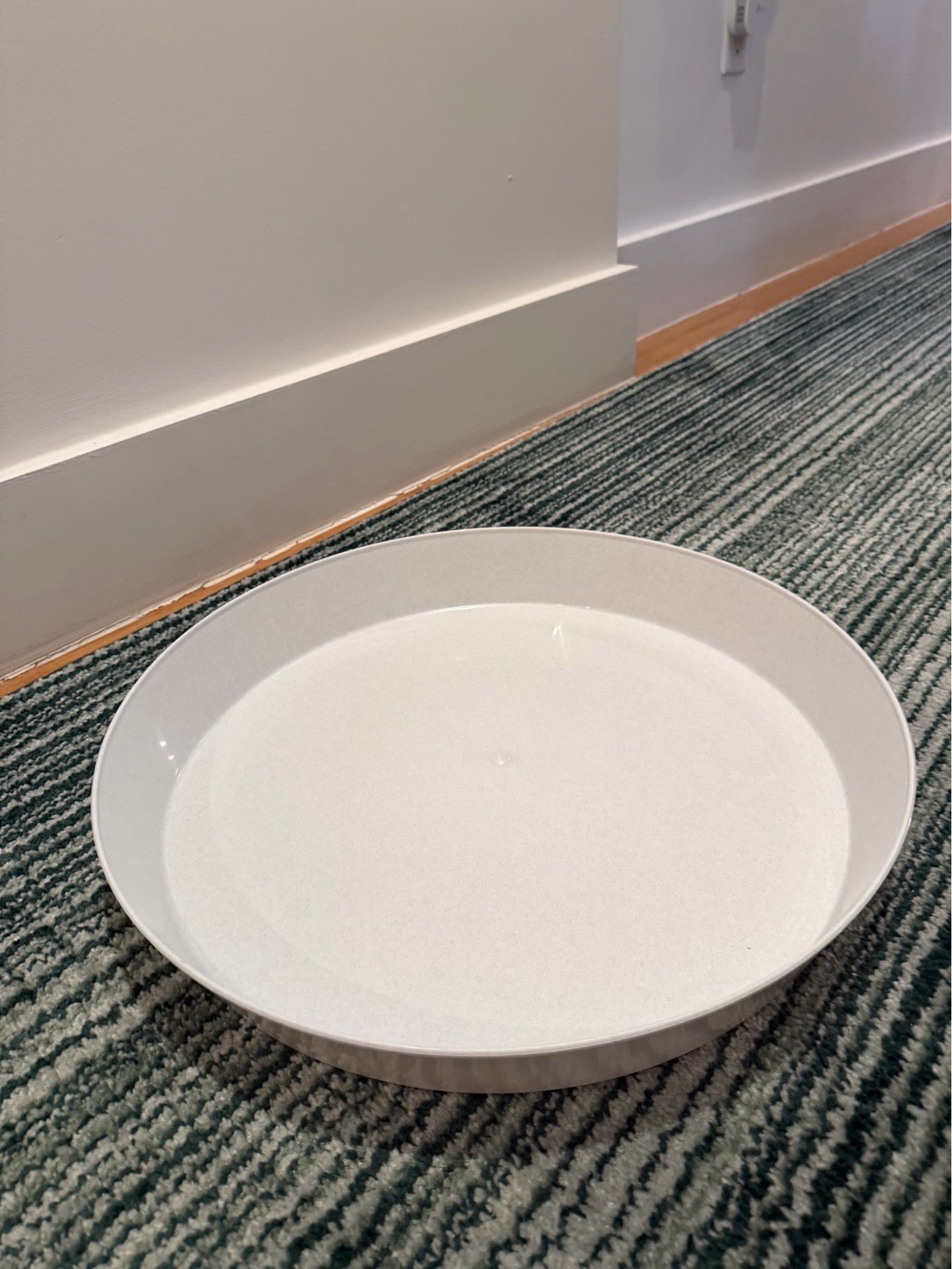 Large Plant Saucer- White