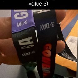 650 For Both! Govball Festival Wristband