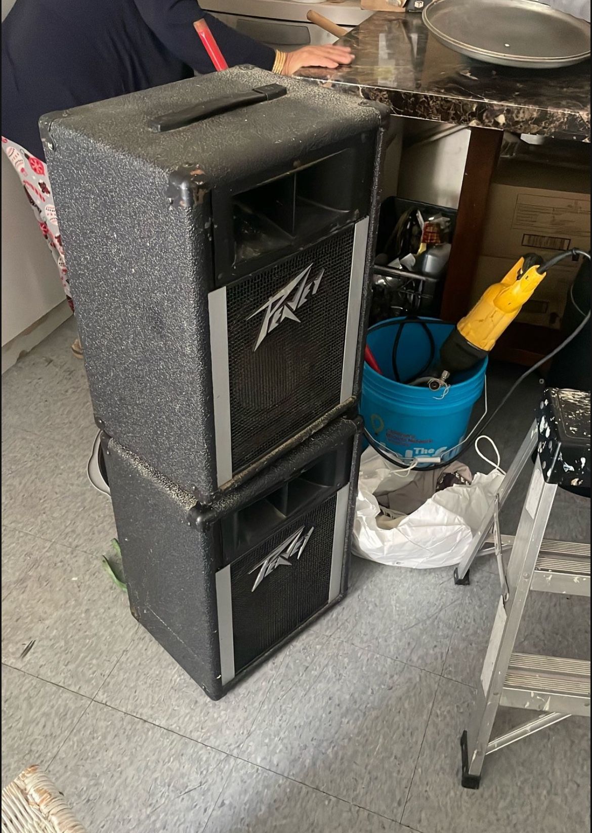 peavey speakers