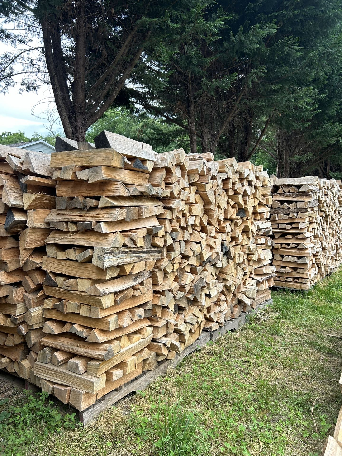 Firewood
