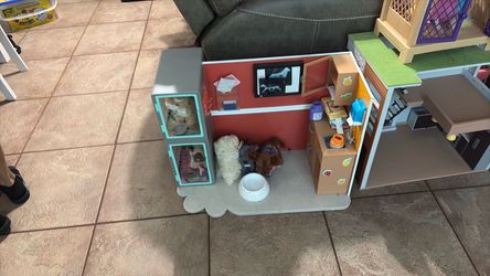 Toy dog clinic