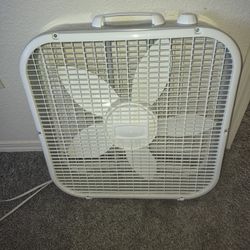 Fan