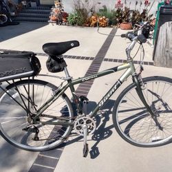 Giant Cypress, Aluminum, Just Tuned Up