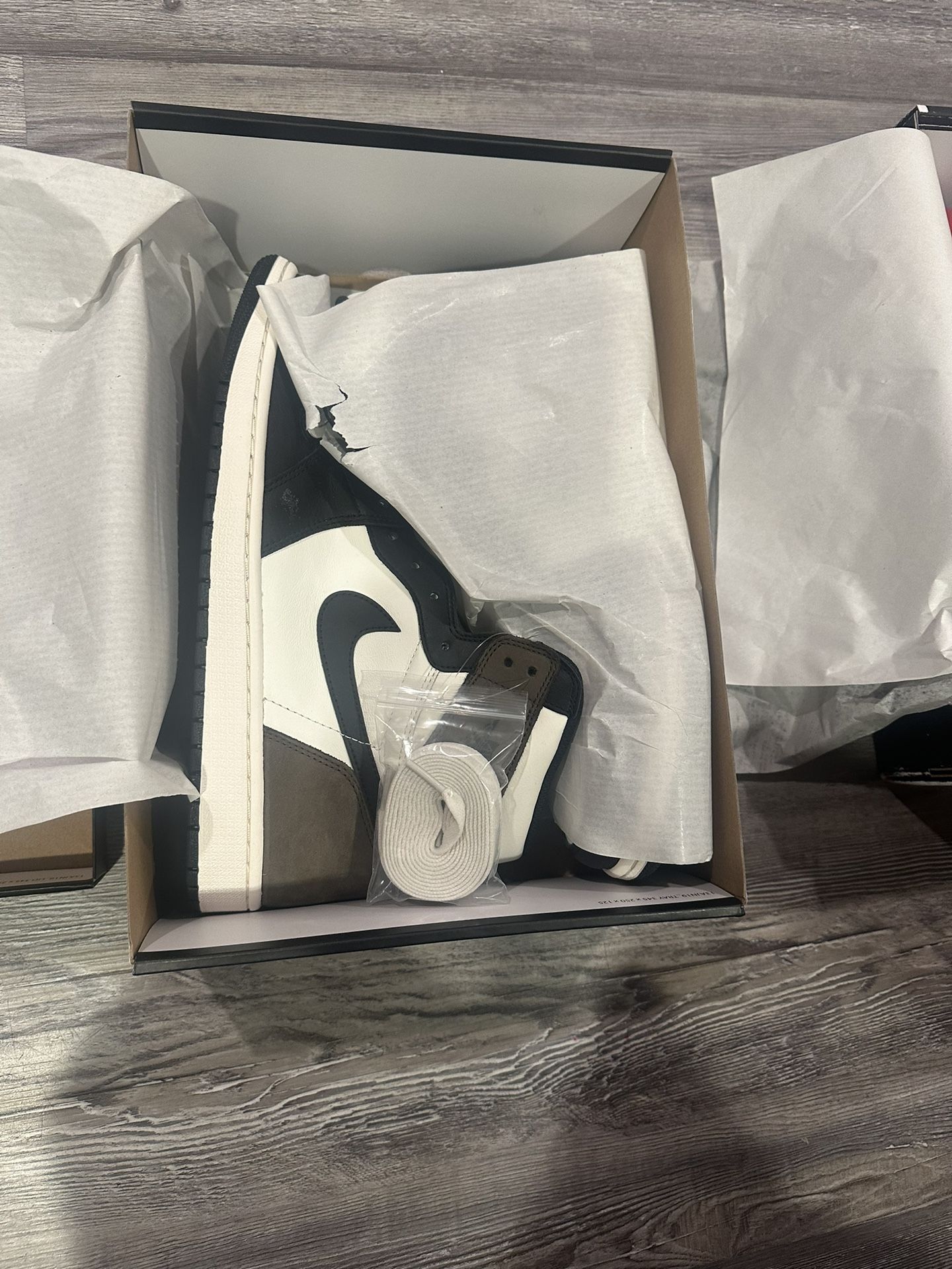 Air Jordan 1 High Og Mocha New Size 13