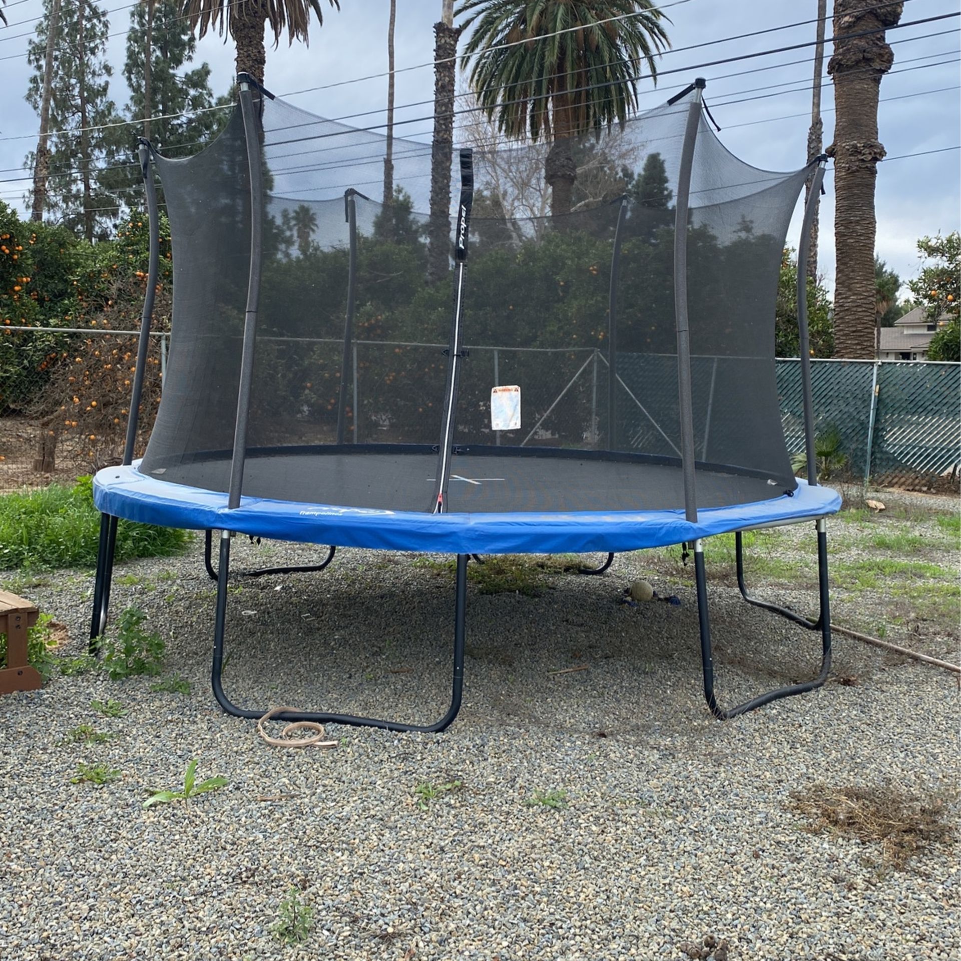 Trampoline