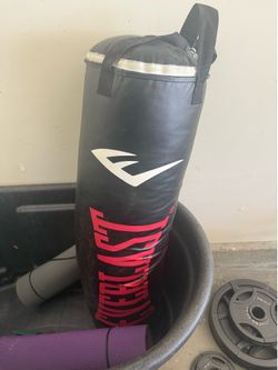 Everlast punching bag
