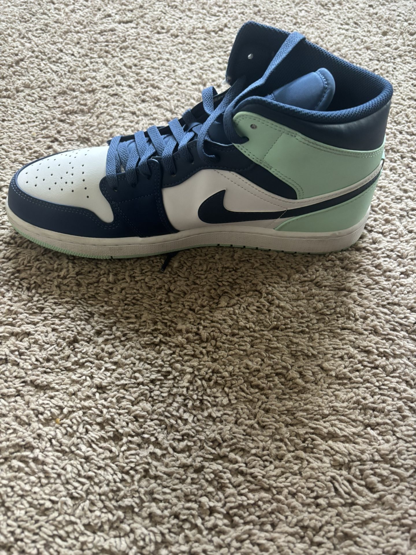 Air Jordan 1 Mid Size 12