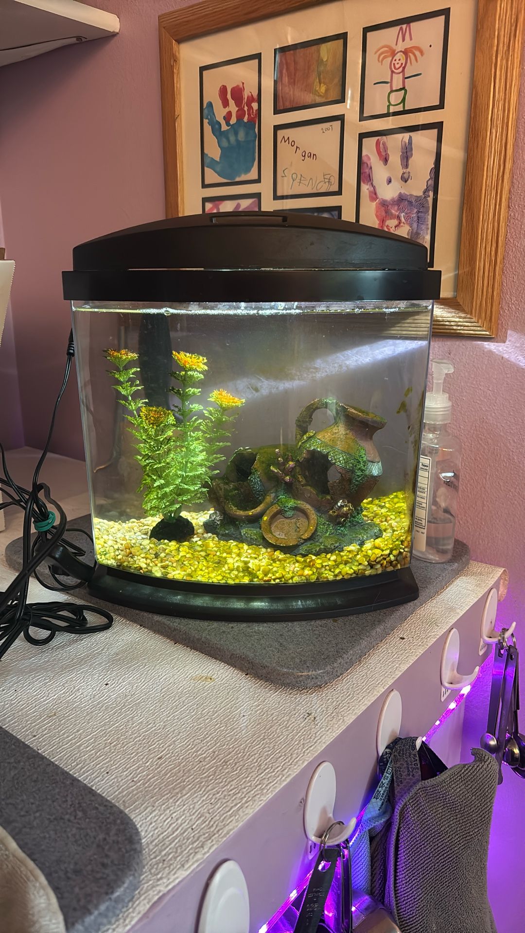 2 Fish Tanks/3 Heaters/1 Water Filter + 2 Filters/Food/Water Treatment/Rocks/Decorations/Net/Cleaning Sponge
