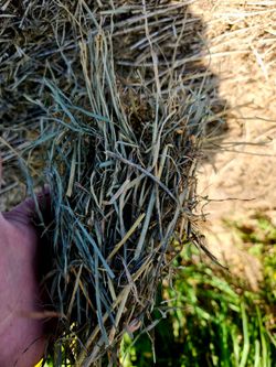 4x5 grass alfalfa round bales