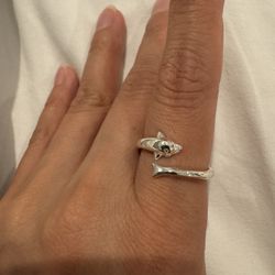 Stainless Steel Rings