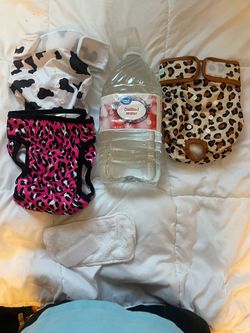 Doggie Diaper and anti-slip pads.