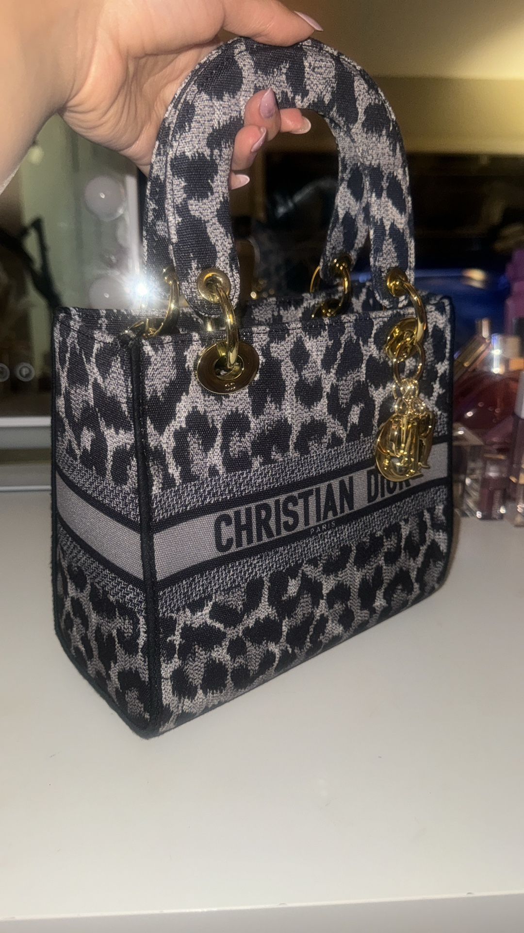 Dior Lady Hand Bag