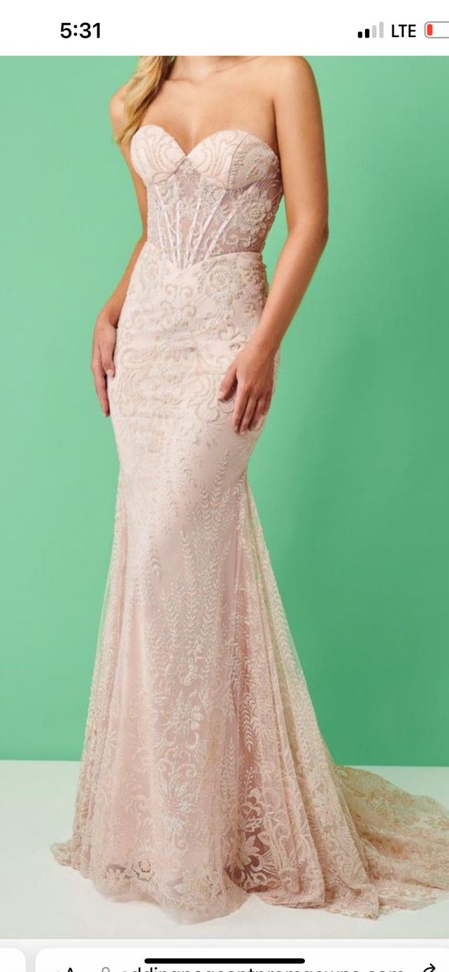 Dress Gently USED Sz(2)