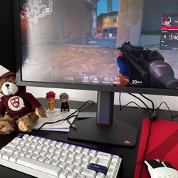 ZOWIE XL2586X 24.5” 540Hz DyAc 2 Gaming Monitor VALORANT CS2