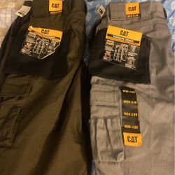 Cat Pants