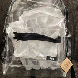 PINK Transparent Backpack