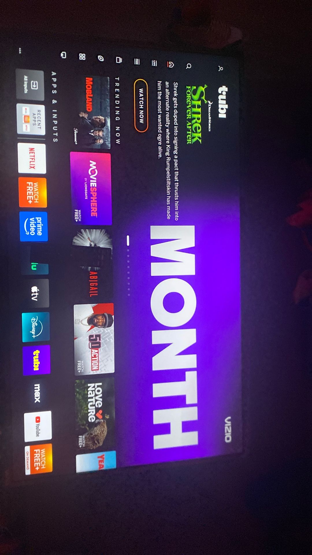 Vizio
