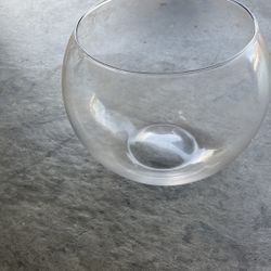 Glass Vase And 6 Trumpet Vases 