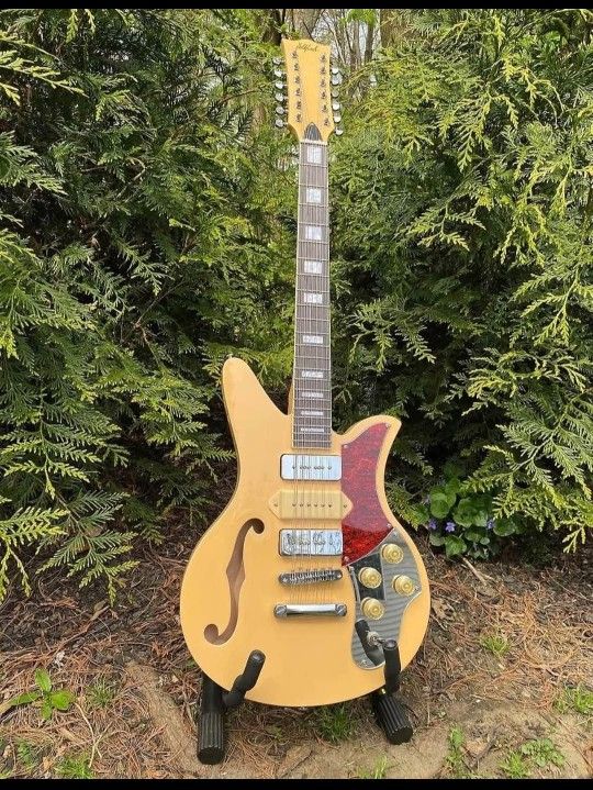 Goldfinch Kensington 12 String Semi Hollow Guitar! Wow!