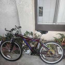 Mountain Bike Mid Size