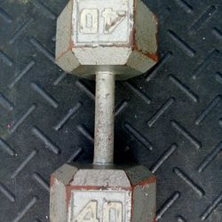 Single 40lb. Dumbbell 