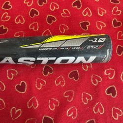 Easton Baseball Bat