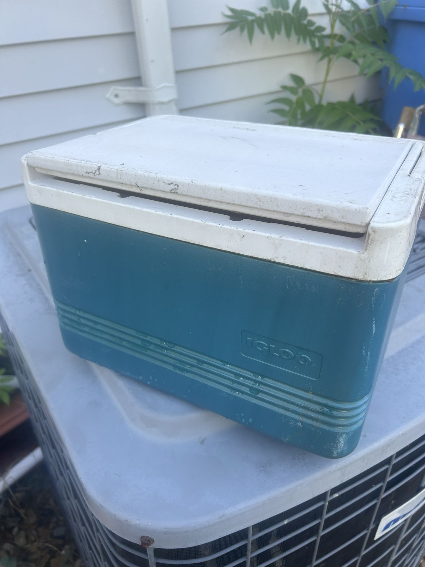 12 Can Igloo Cooler