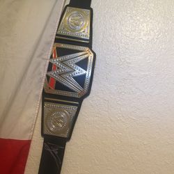 Wwe Signed Belt
