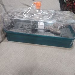 Turtle Tank