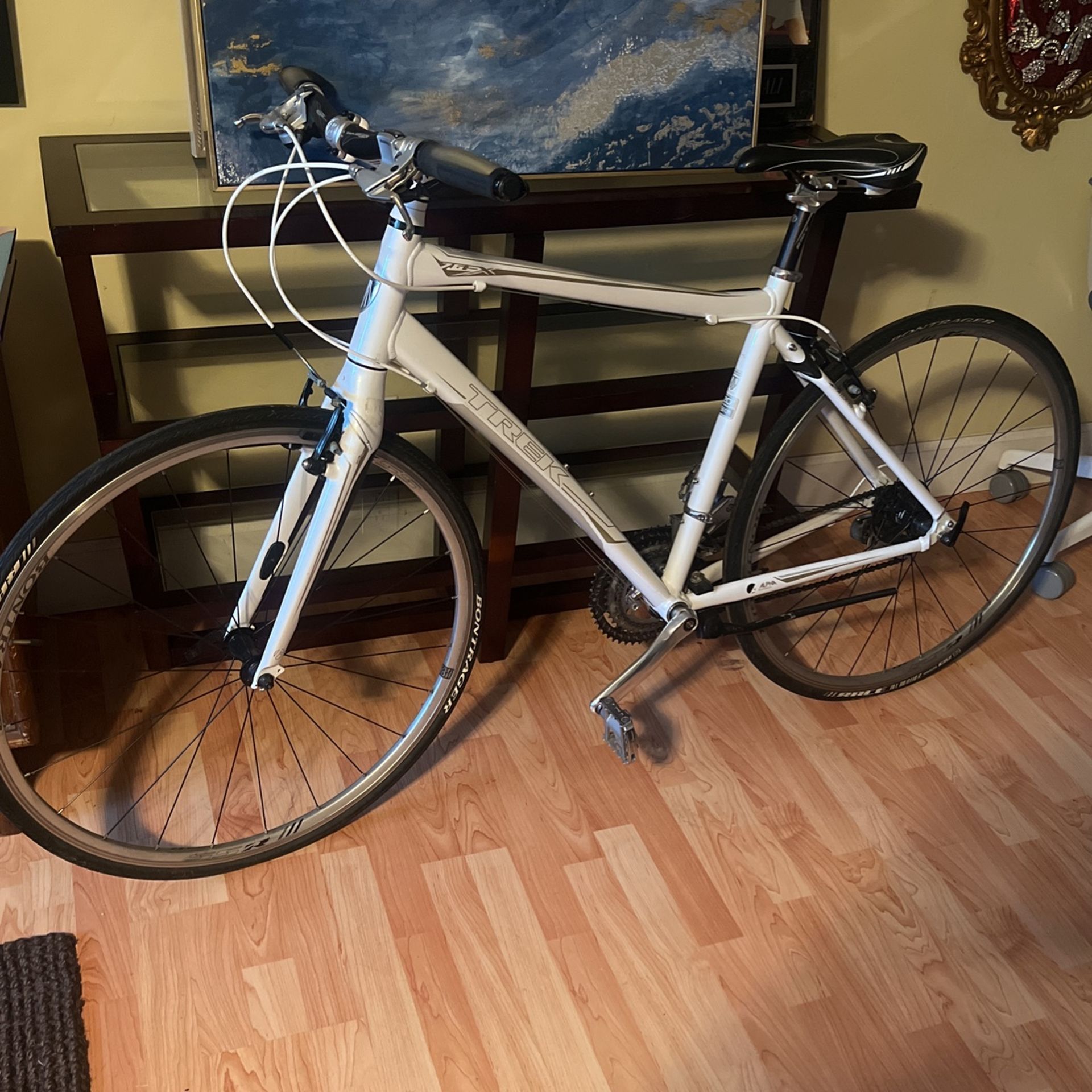 Trek Bicycle 