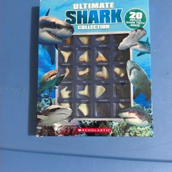 New! Shark Teeth (replica) Scholastic $10