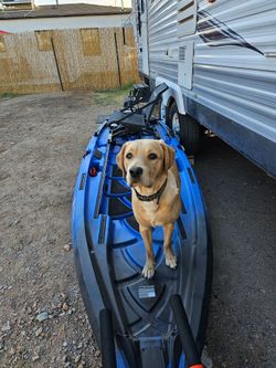 Nucanoe Unlimited W/ Newport Electric motor