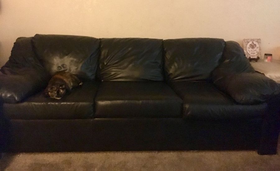 Free Leather Sofa and Loveseat (Black)