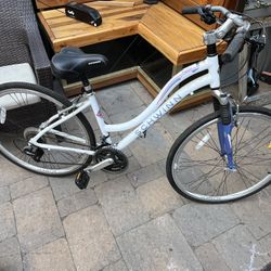 Schwinn Cruiser